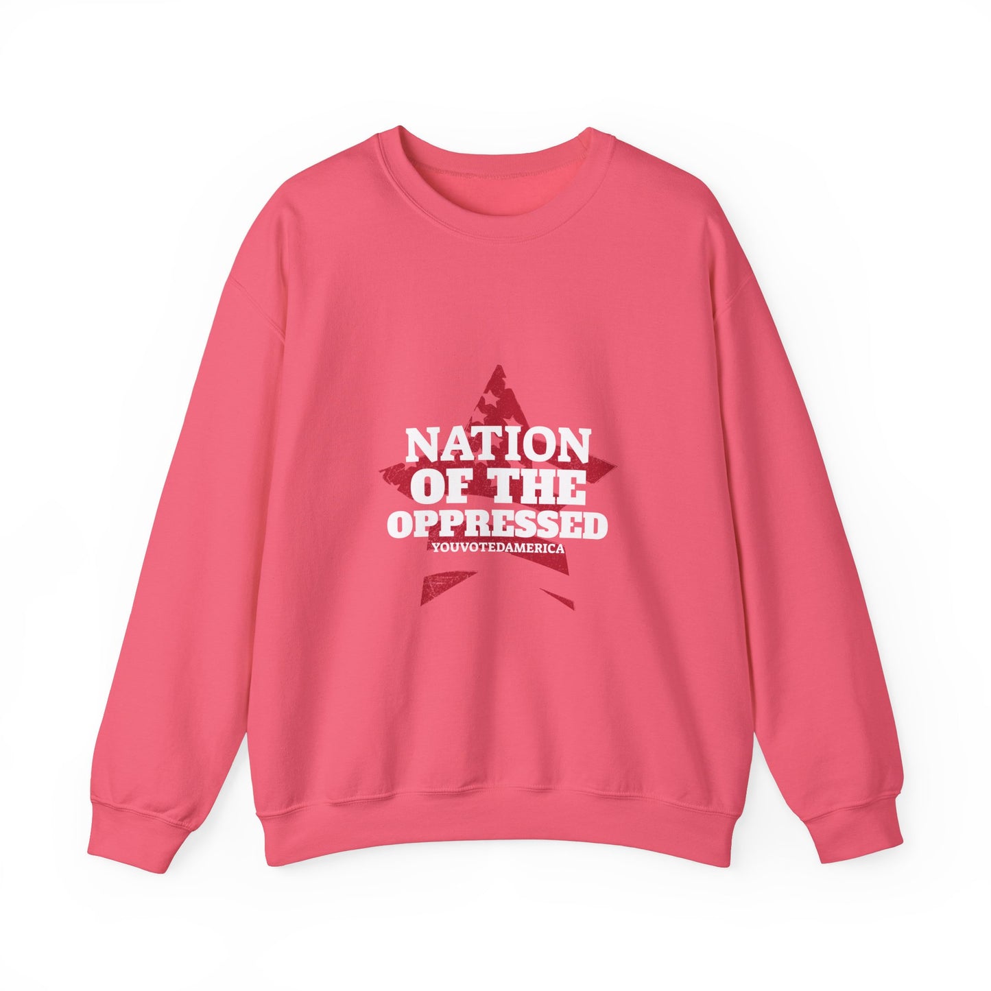 Nation of the Oppressed Star Flag- Political Satire Sweatshirt